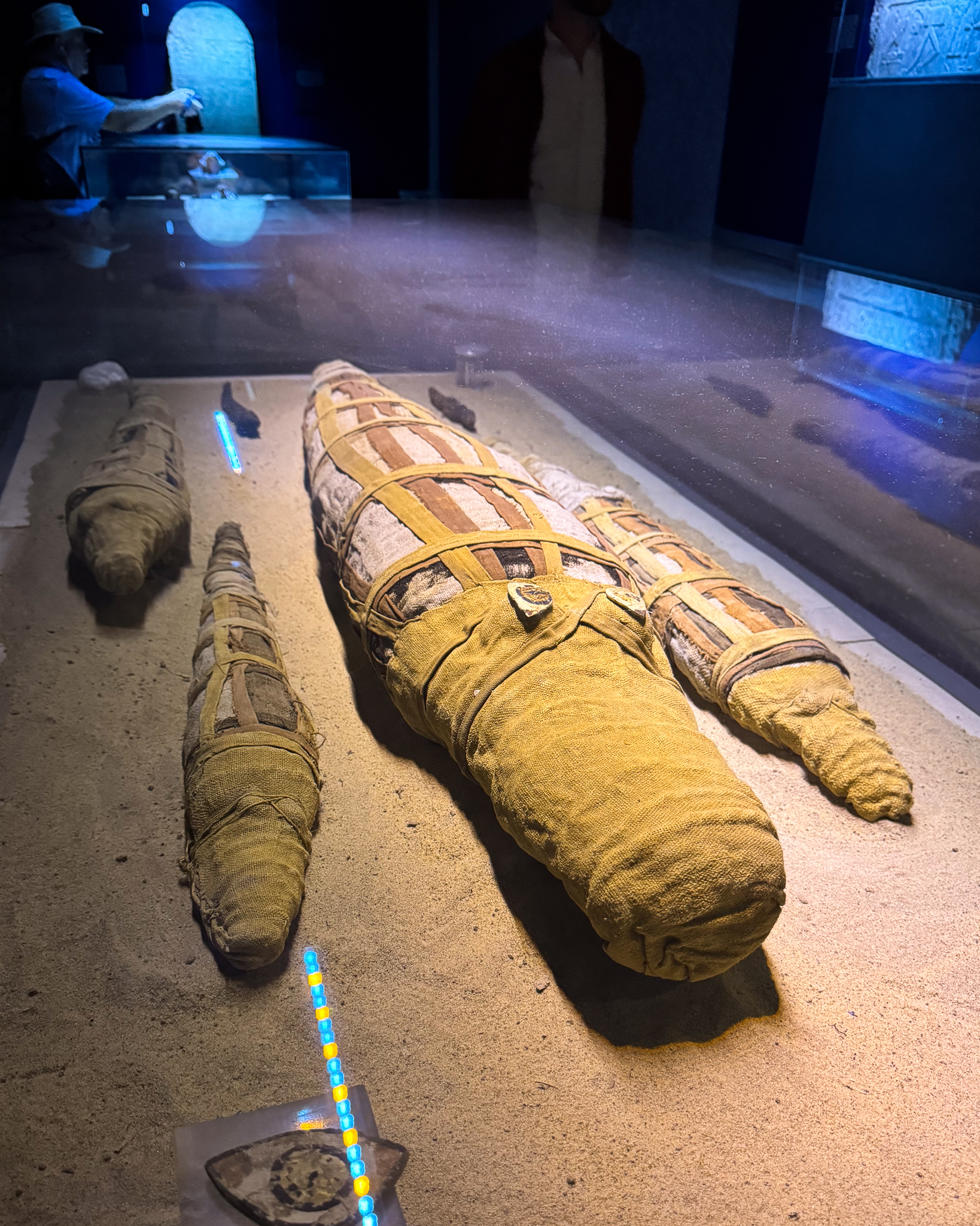 Mummified crocodiles