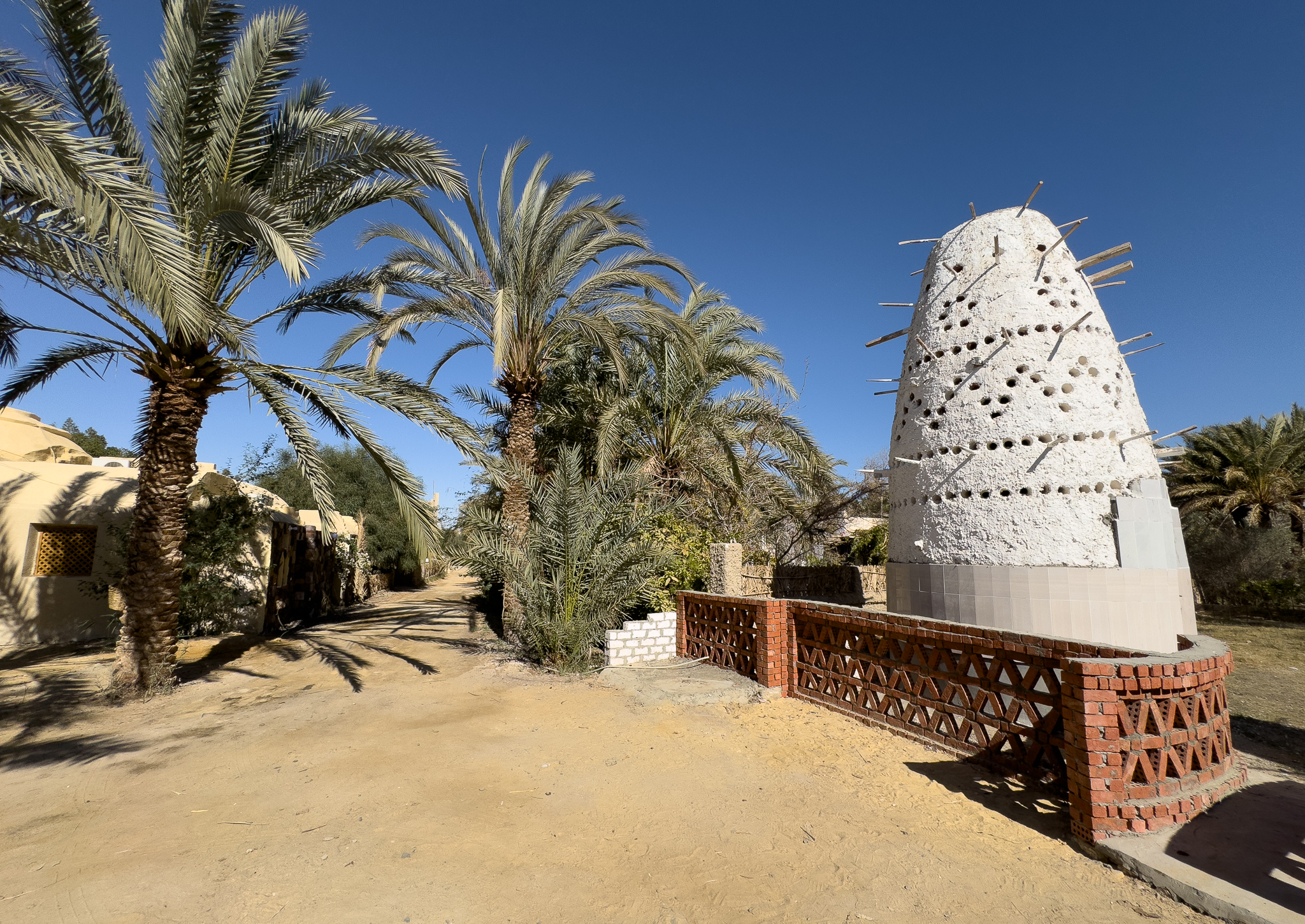 Wandering in the Bahariya Oasis