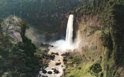The Ekom-Nkam Waterfalls