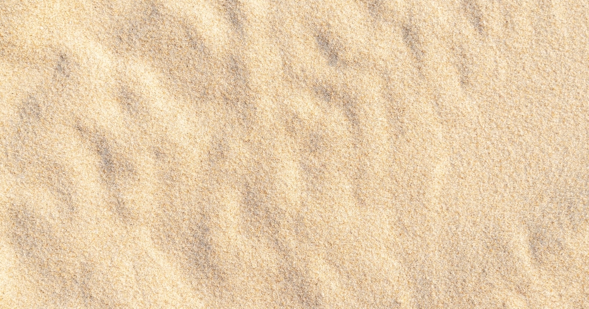 D14 » Alexandria: Timeless wonders and modern marvels